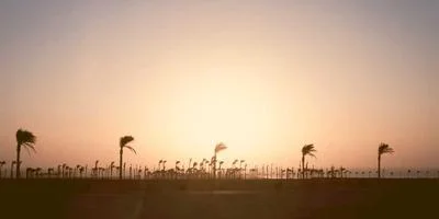 玩家评价1